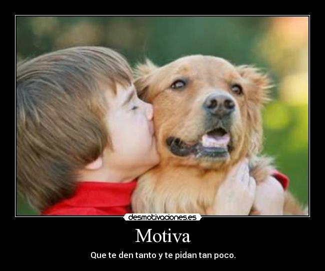 carteles perrocuidachico desmotivaciones