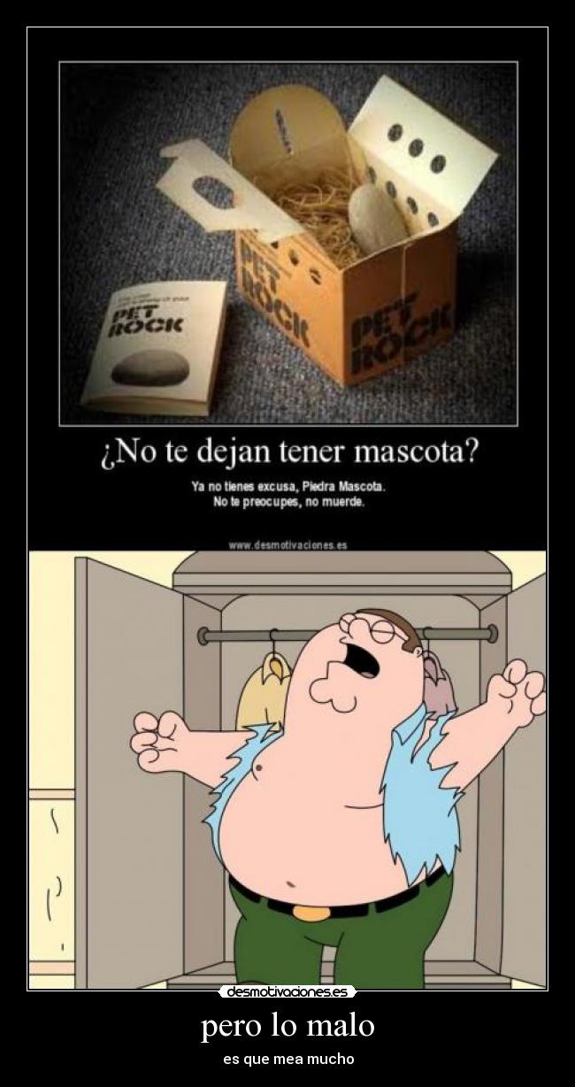 carteles piedras mascotas desmotivaciones