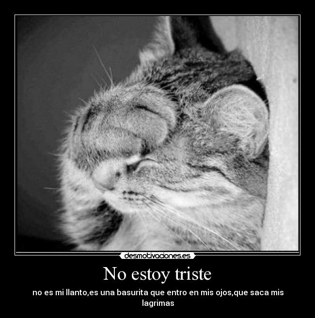 No estoy triste - 