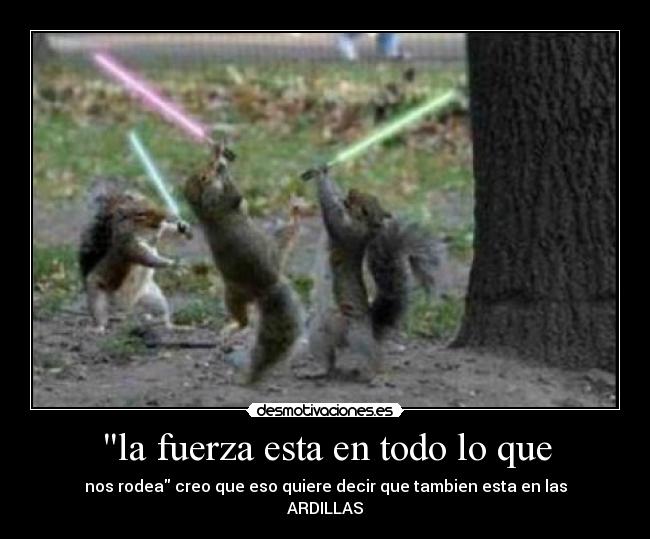 la fuerza esta en todo lo que - nos rodea creo que eso quiere decir que tambien esta en las
ARDILLAS