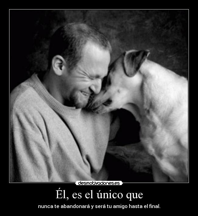 carteles amor desmotivaciones