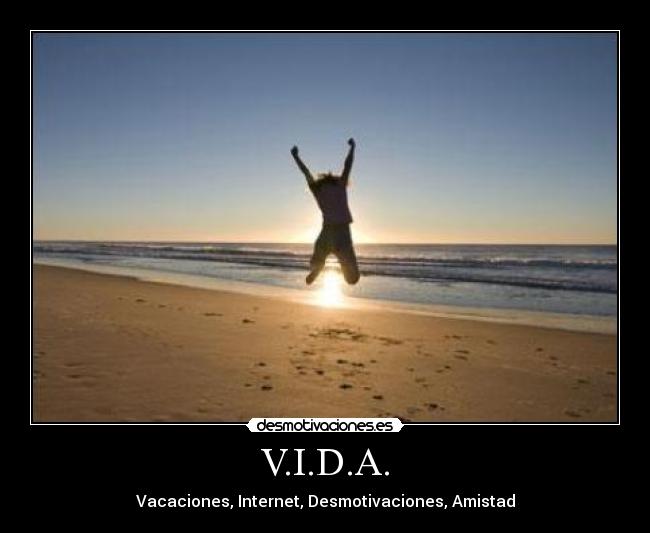 V.I.D.A. - Vacaciones, Internet, Desmotivaciones, Amistad