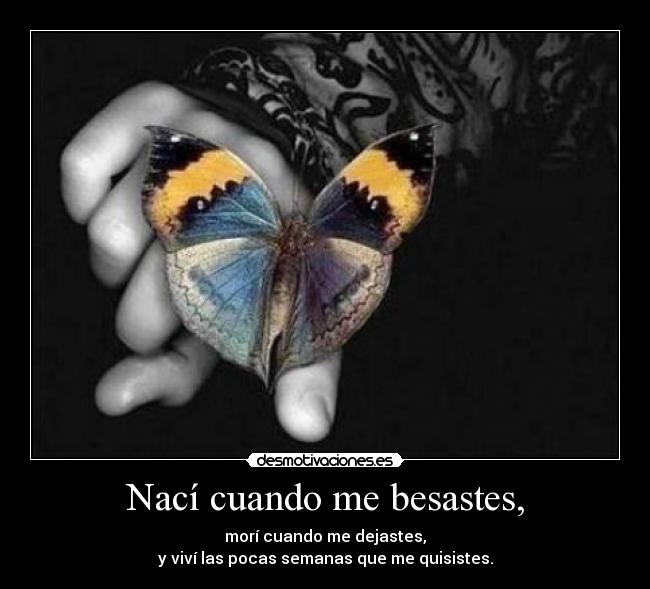 Nací cuando me besastes, -