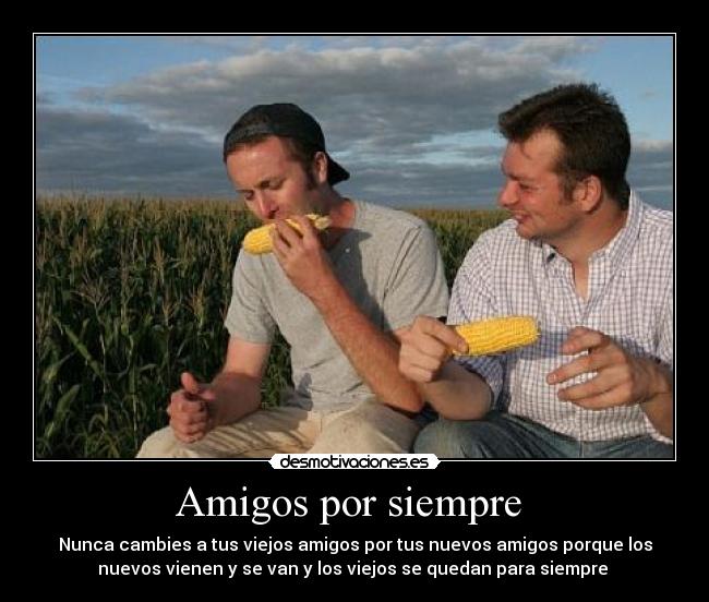 Amigos por siempre  - Nunca cambies a tus viejos amigos por tus nuevos amigos porque los
nuevos vienen y se van y los viejos se quedan para siempre 