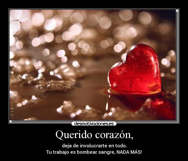 Querido corazón, - deja de involucrarte en todo.
Tu trabajo es bombear sangre, NADA MÁS!