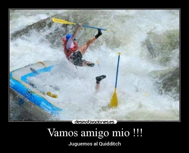 Vamos amigo mio !!! - Juguemos al Quidditch