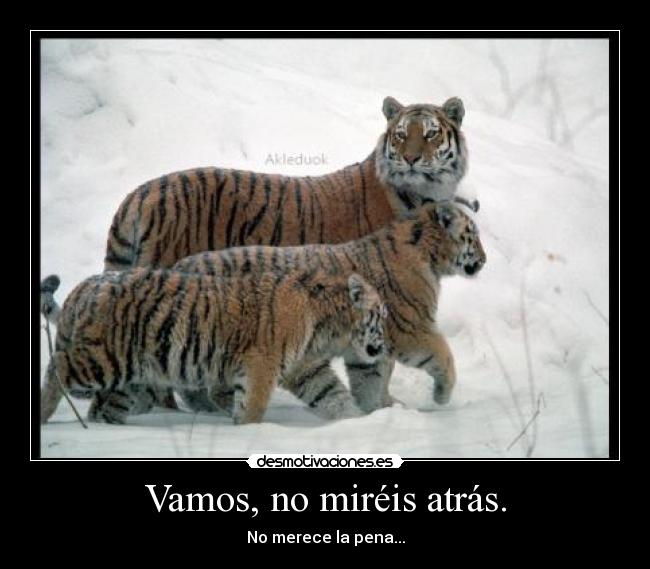 Vamos, no miréis atrás. - 