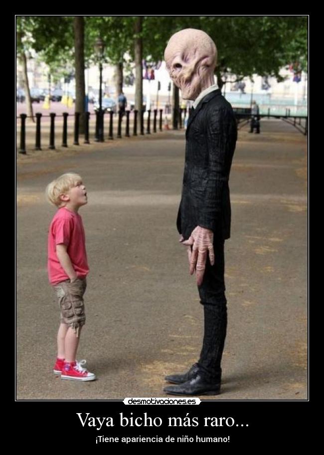 Vaya bicho más raro... - 