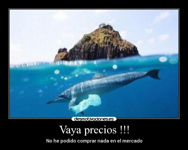 carteles pues compres robalo sal nadando its free desmotivaciones