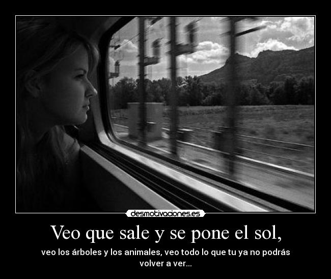 Veo que sale y se pone el sol, - veo los árboles y los animales, veo todo lo que tu ya no podrás volver a ver...