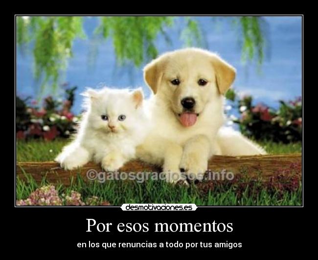 Por esos momentos - en los que renuncias a todo por tus amigos