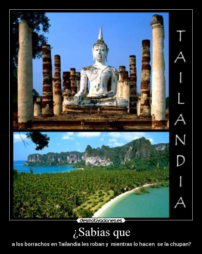 ¿Sabias que - a los borrachos en Tailandia les roban y mientras lo hacen se la chupan?