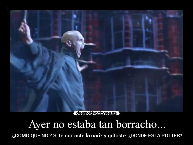 Ayer no estaba tan borracho... - ¿¡COMO QUE NO!? Si te cortaste la nariz y gritaste: ¿DONDE ESTÁ POTTER?
