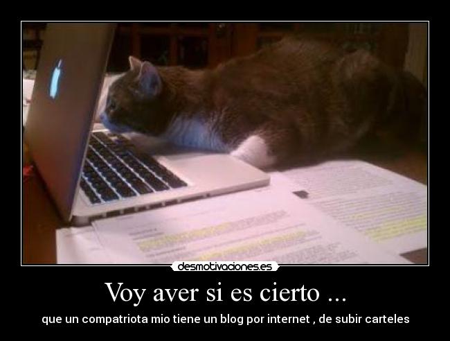 Voy aver si es cierto ... -