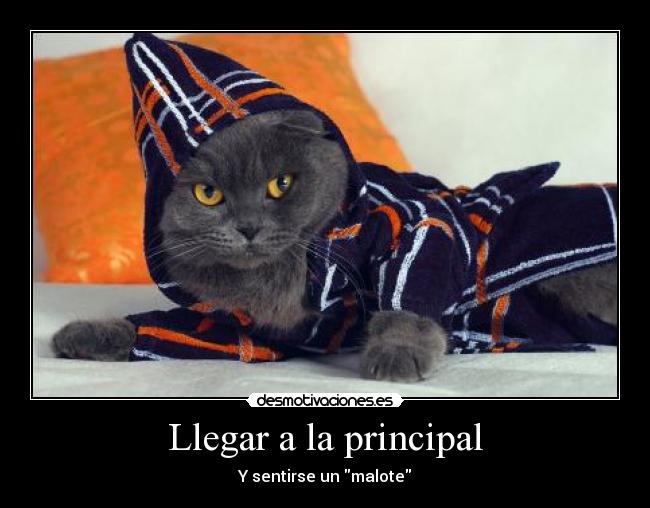 Llegar a la principal - Y sentirse un malote