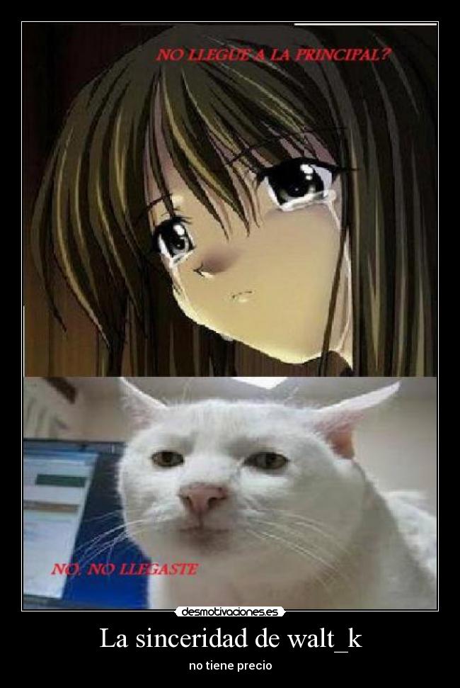 La sinceridad de walt_k -