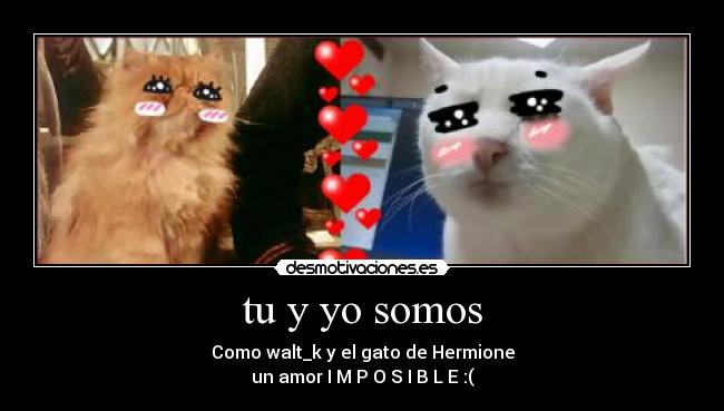 carteles walt_k gatosde hermione fiore26 desmotivaciones