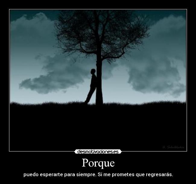 Porque - puedo esperarte para siempre. Si me prometes que regresarás.