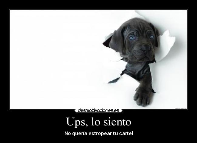 Ups, lo siento - No quería estropear tu cartel