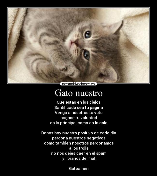 Gato nuestro - Que estas en los cielos
Santificado sea tu pagina
Venga a nosotros tu voto
hagase tu voluntad
en la principal como en la cola
Danos hoy nuestro positivo de cada dia
perdona nuestros negativos
como tambien nosotros perdonamos
a los trolls
no nos dejes caer en el spam
y libranos del mal
Gatoamen