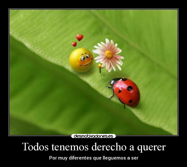 Todos tenemos derecho a querer - Por muy diferentes que lleguemos a ser
