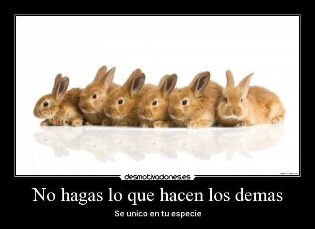 No hagas lo que hacen los demas - Se unico en tu especie