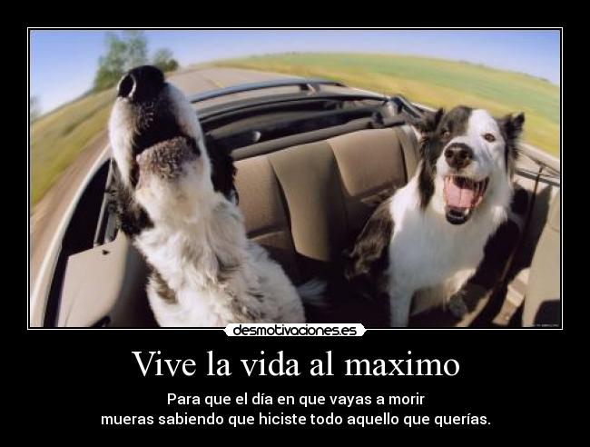 Vive la vida al maximo - Para que el día en que vayas a morir
mueras sabiendo que hiciste todo aquello que querías.
