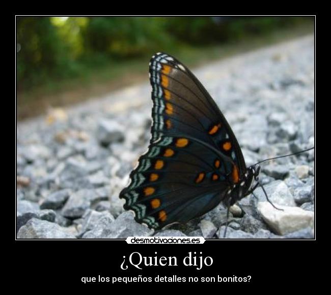 ¿Quien dijo - que los pequeños detalles no son bonitos?