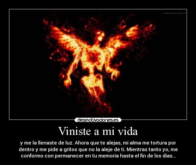 Viniste a mi vida - y me la llenaste de luz. Ahora que te alejas, mi alma me tortura por
dentro y me pide a gritos que no la aleje de ti. Mientras tanto yo, me
conformo con permanecer en tu memoria hasta el fin de los dias...