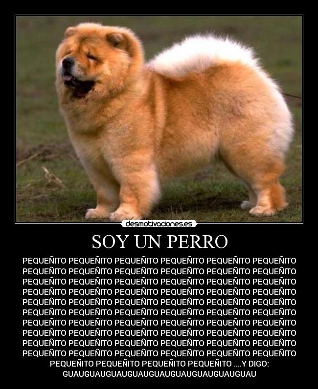 SOY UN PERRO -