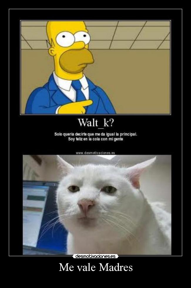Me vale Madres - 