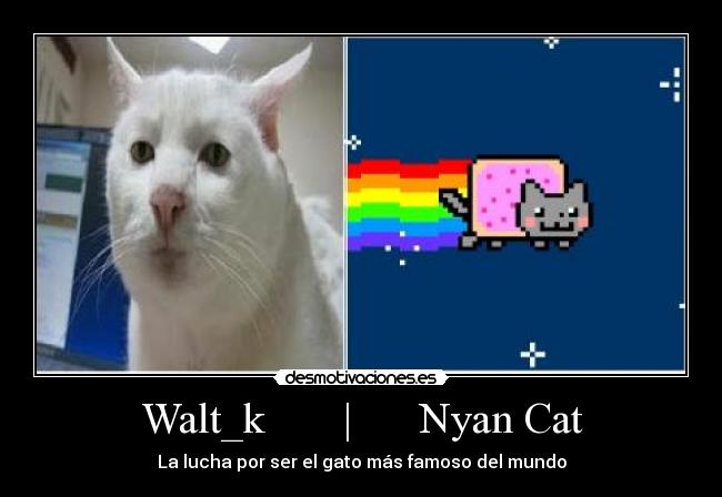 Walt_k | Nyan Cat - La lucha por ser el gato más famoso del mundo