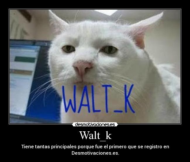 Walt_k - 