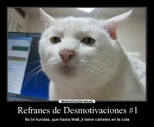 Refranes de Desmotivaciones #1 - No te hundas, que hasta Walt_k tiene carteles en la cola