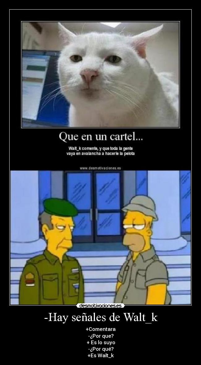 carteles skiner homer intentan capturar gato desmotivaciones