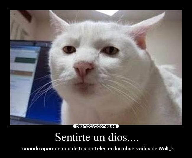 Sentirte un dios.... - 