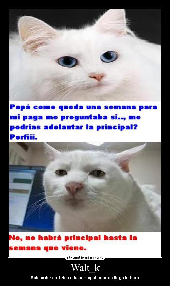 Walt_k - Solo sube carteles a la principal cuando llega la hora.