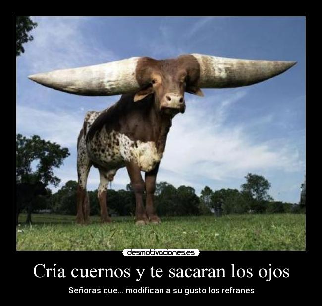 Cría cuernos y te sacaran los ojos -