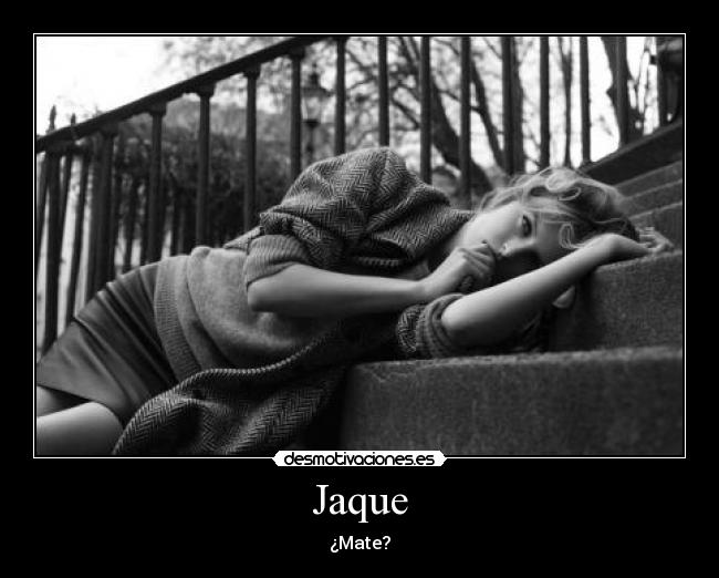 Jaque -