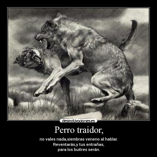 Perro traidor, - no vales nada,siembras veneno al hablar.
Reventarás,y tus entrañas,
para los buitres serán.