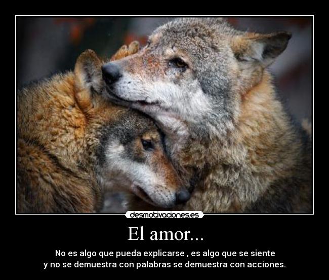 El amor... - 