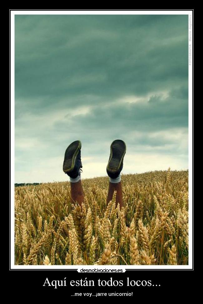 Aquí están todos locos... - ...me voy...¡arre unicornio!