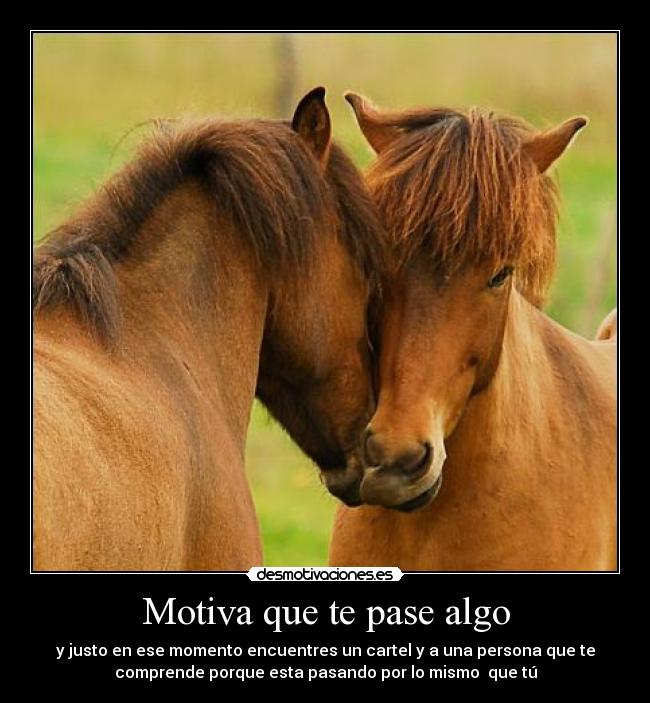 carteles persona comprender desmotivaciones