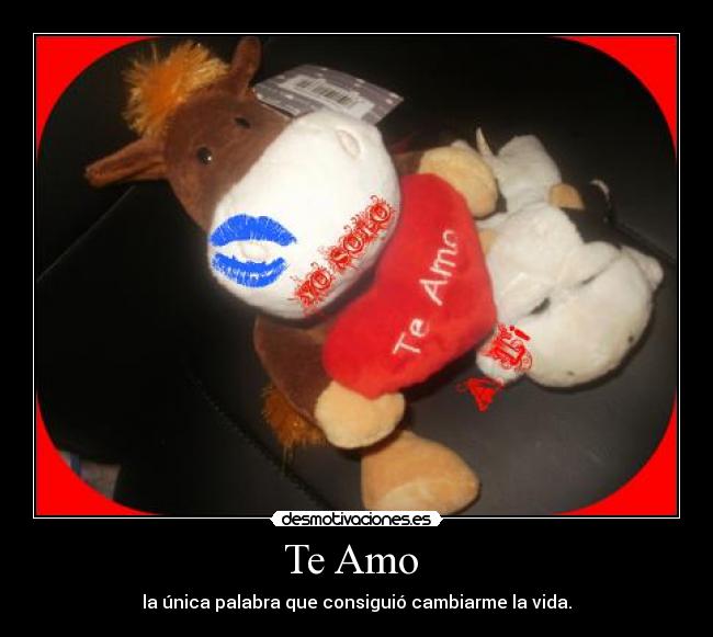 Te Amo - la única palabra que consiguió cambiarme la vida.