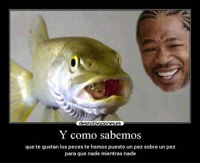Y como sabemos - que te gustan los peces te hemos puesto un pez sobre un pez
para que nade mientras nade