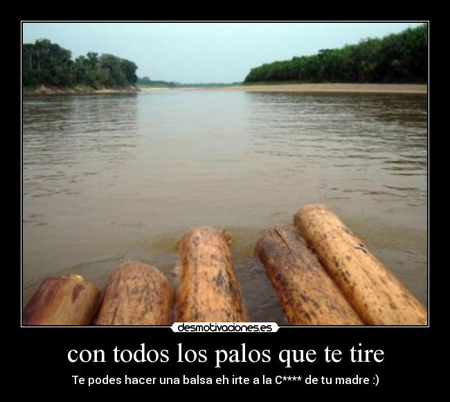 con todos los palos que te tire - Te podes hacer una balsa eh irte a la C**** de tu madre :)