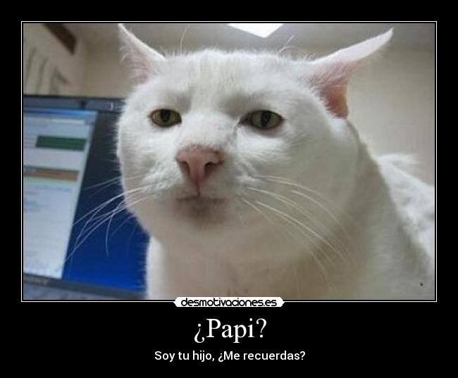 ¿Papi? - 