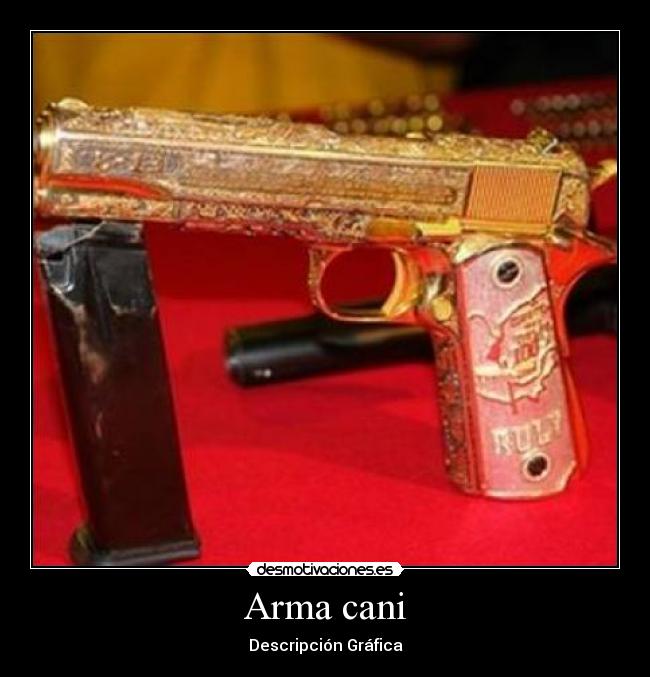 Arma cani -