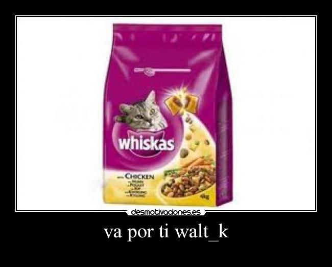 va por ti walt_k -
