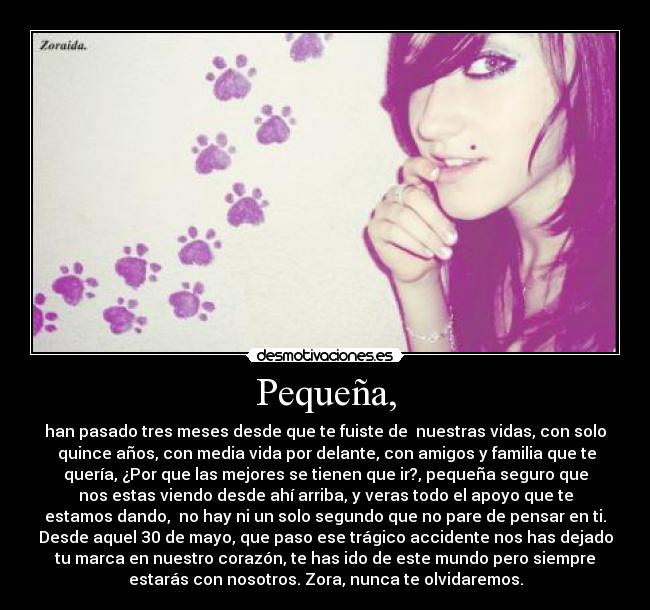Pequeña, - han pasado tres meses desde que te fuiste de nuestras vidas, con solo
quince años, con media vida por delante, con amigos y familia que te
quería, ¿Por que las mejores se tienen que ir?, pequeña seguro que
nos estas viendo desde ahí arriba, y veras todo el apoyo que te
estamos dando, no hay ni un solo segundo que no pare de pensar en ti.
Desde aquel 30 de mayo, que paso ese trágico accidente nos has dejado
tu marca en nuestro corazón, te has ido de este mundo pero siempre
estarás con nosotros. Zora, nunca te olvidaremos.